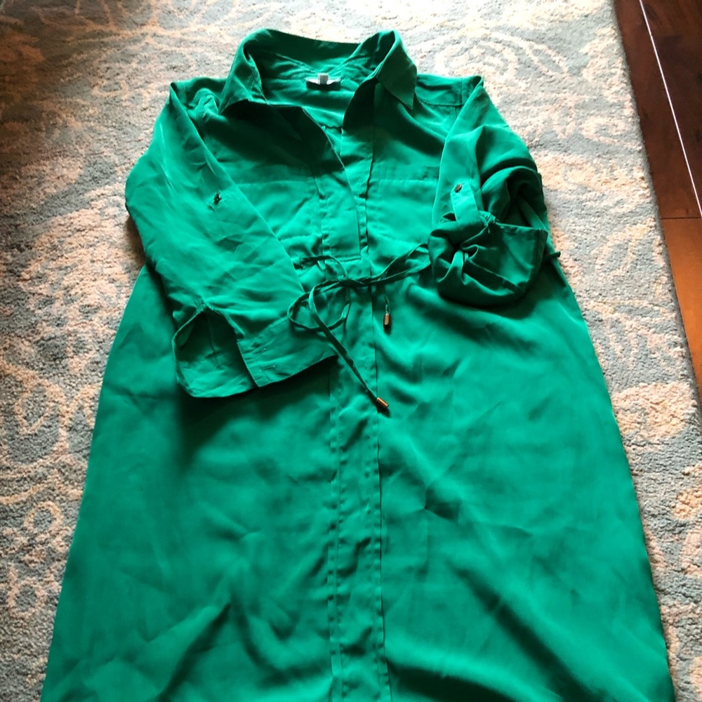 Pea In the Pod Maternity Dress